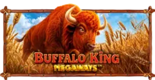 ภาพเกม Buffalo King Megaways ที่ pg24hr รวบรวมไว้